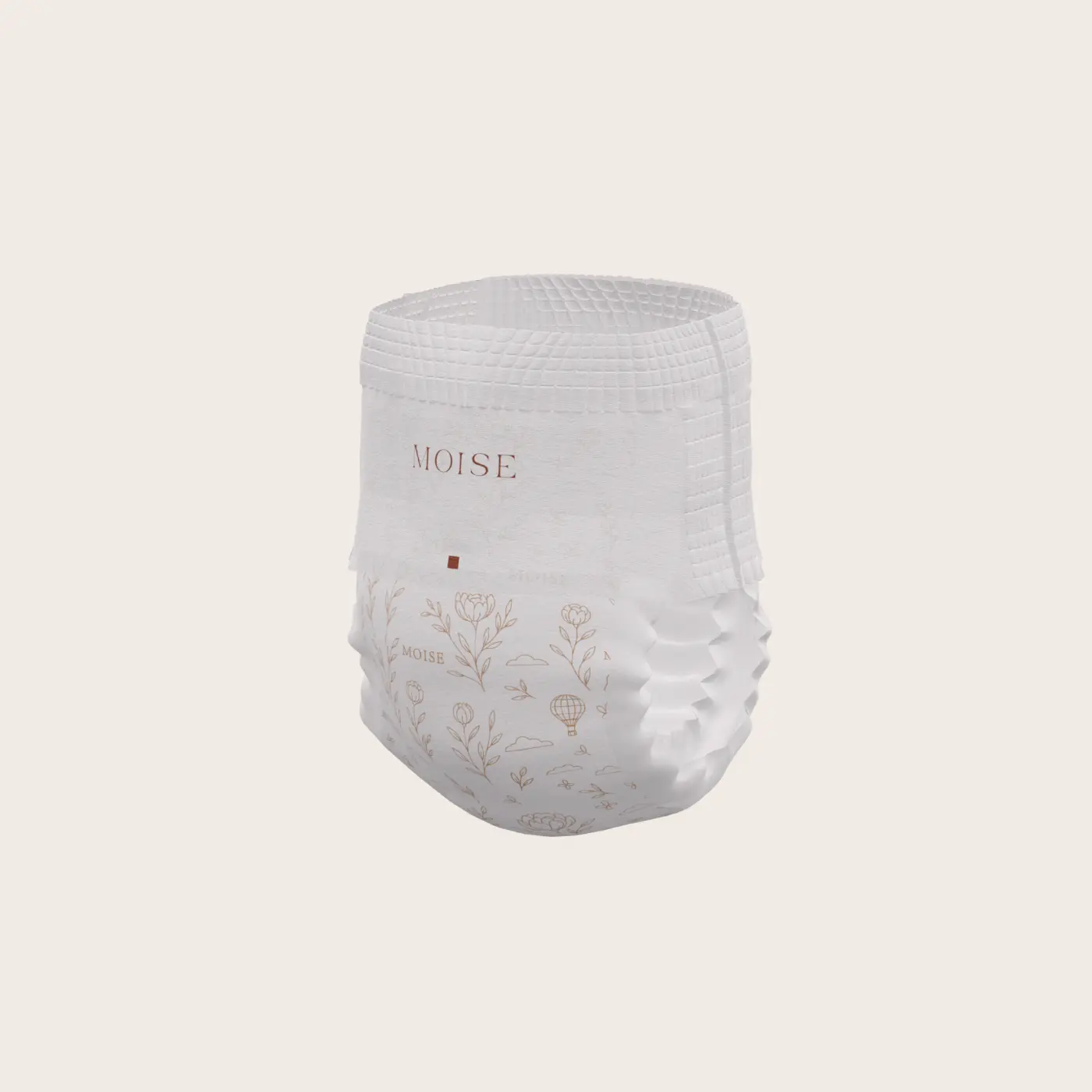 MOISE Banner Desktop