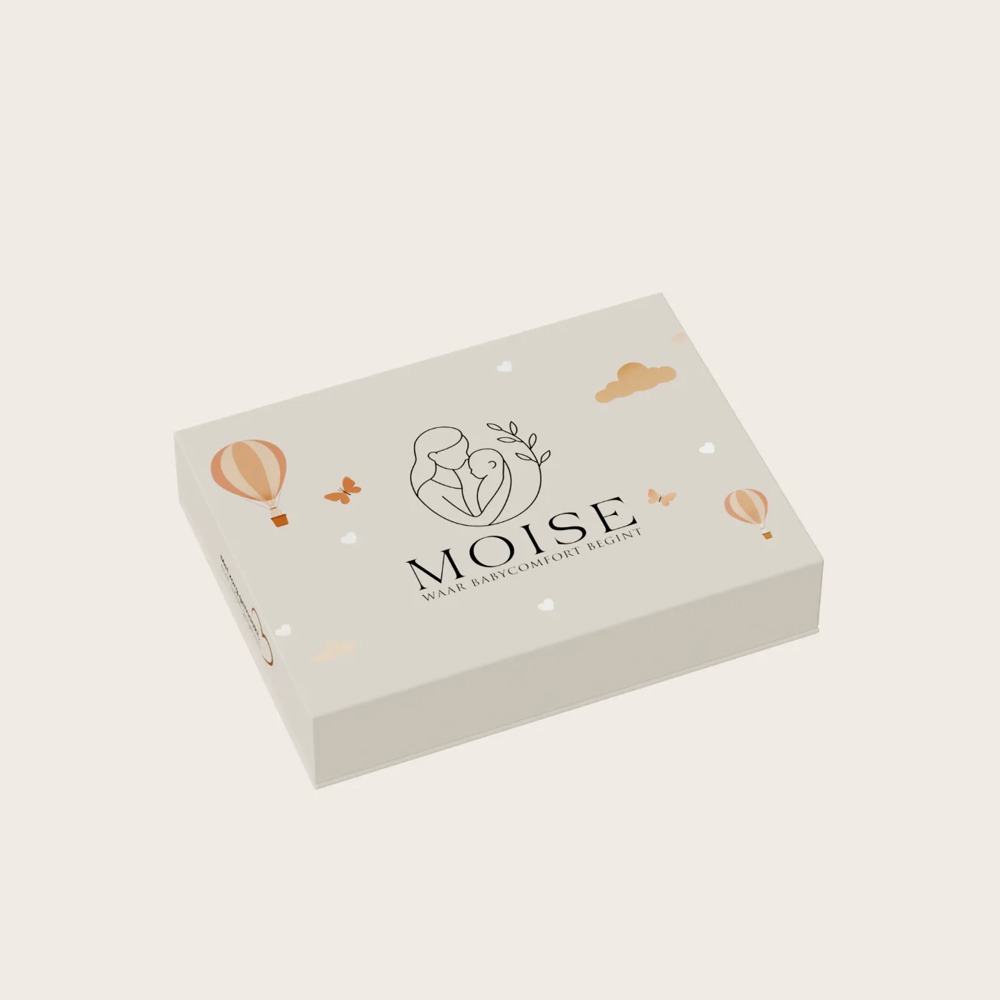 MOISE Banner Desktop